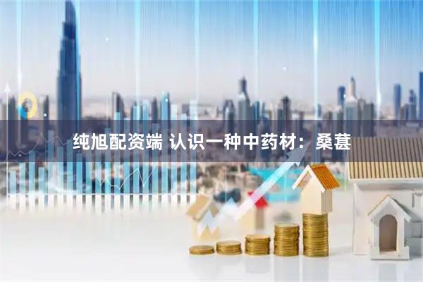 纯旭配资端 认识一种中药材：桑葚