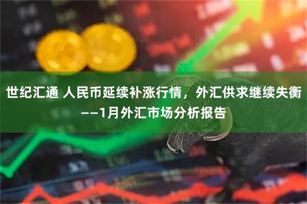 世纪汇通 人民币延续补涨行情，外汇供求继续失衡——1月外汇市场分析报告
