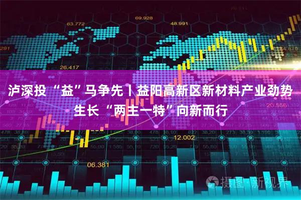 泸深投 “益”马争先丨益阳高新区新材料产业劲势生长 “两主一特”向新而行