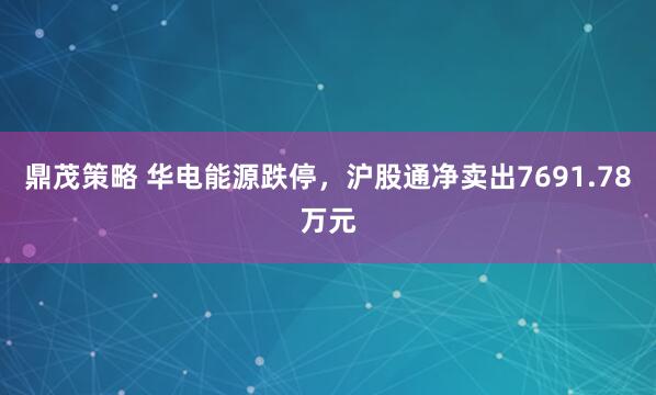 鼎茂策略 华电能源跌停，沪股通净卖出7691.78万元