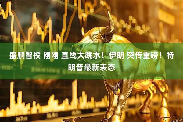 盛鹏智投 刚刚 直线大跳水！伊朗 突传重磅！特朗普最新表态
