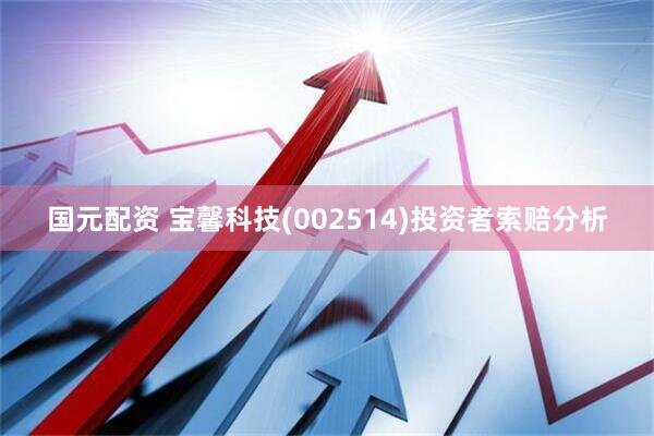 国元配资 宝馨科技(002514)投资者索赔分析