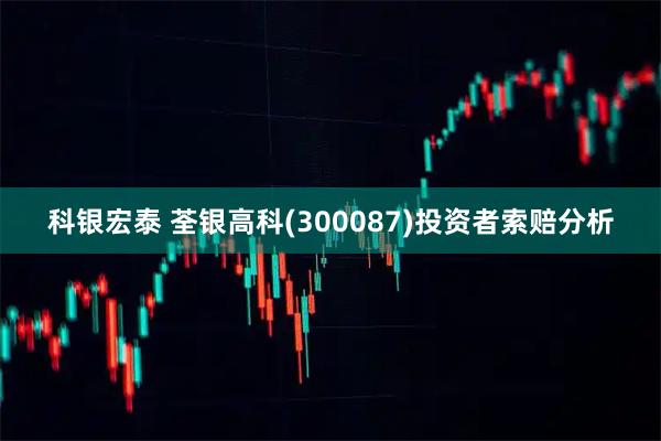 科银宏泰 荃银高科(300087)投资者索赔分析