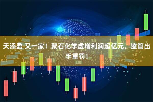 天添盈 又一家！聚石化学虚增利润超亿元，监管出手重罚！