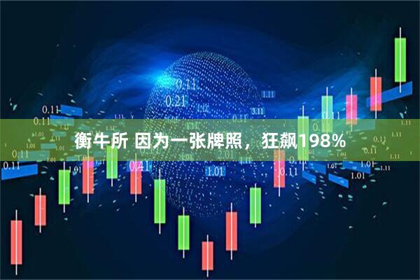 衡牛所 因为一张牌照，狂飙198%