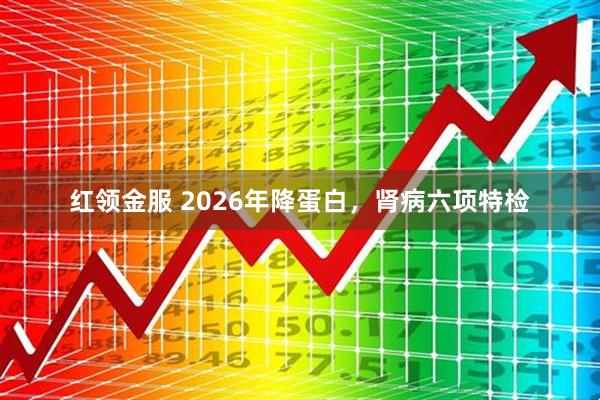 红领金服 2026年降蛋白,肾病六项特检