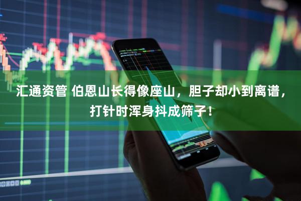 汇通资管 伯恩山长得像座山，胆子却小到离谱，打针时浑身抖成筛子！