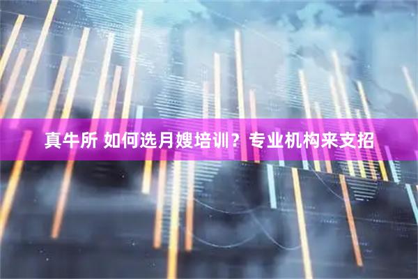 真牛所 如何选月嫂培训？专业机构来支招