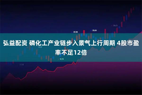 弘益配资 磷化工产业链步入景气上行周期 4股市盈率不足12倍